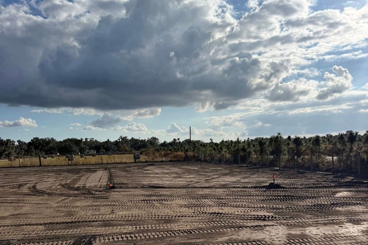 Land clearing equipment in Lutz, Hillsborough County